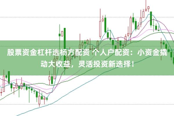 股票资金杠杆选杨方配资 个人户配资：小资金撬动大收益，灵活投资新选择！