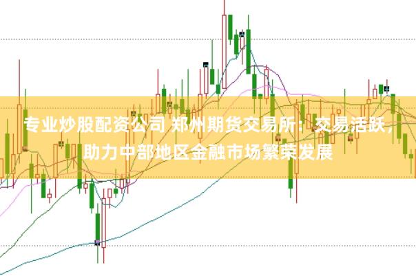 专业炒股配资公司 郑州期货交易所：交易活跃，助力中部地区金融市场繁荣发展