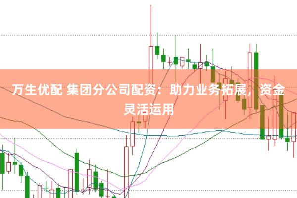 万生优配 集团分公司配资：助力业务拓展，资金灵活运用