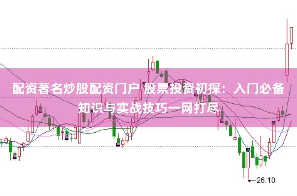 配资著名炒股配资门户 股票投资初探：入门必备知识与实战技巧一网打尽