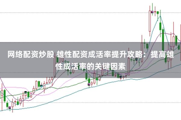 网络配资炒股 雄性配资成活率提升攻略：提高雄性成活率的关键因素