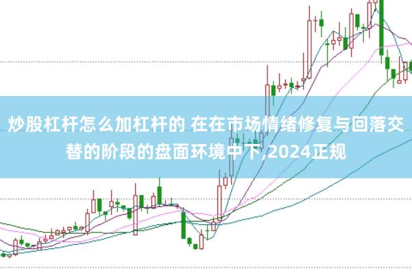 炒股杠杆怎么加杠杆的 在在市场情绪修复与回落交替的阶段的盘面环境中下,2024正规